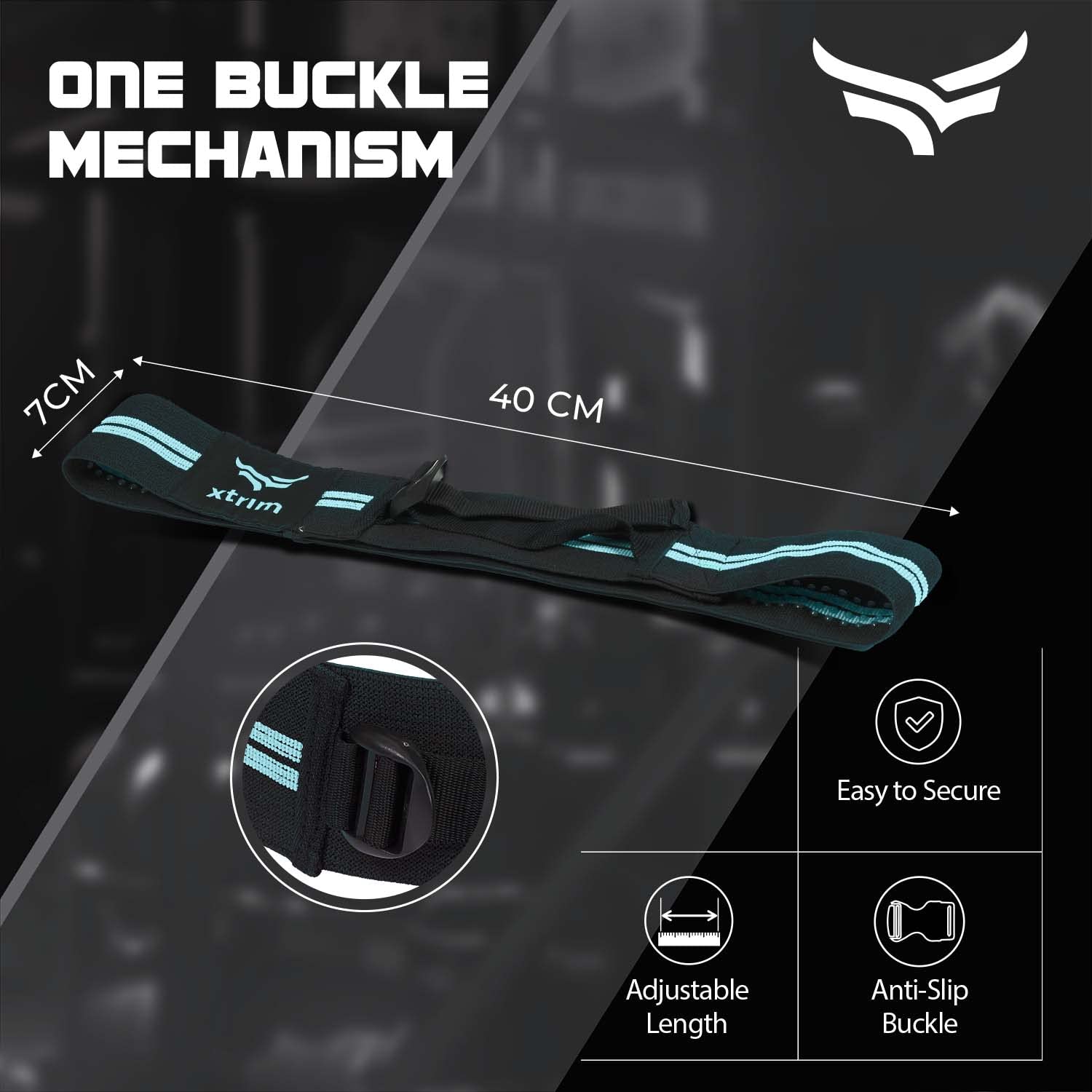 Resistance Bands with Portable Mesh Carry Bag, Adjustable, Non-Slip & Stretchable Bands, Ideal for Glute Work, Toning Booty Legs, Butt, Hips (Set of 2, Aqua)